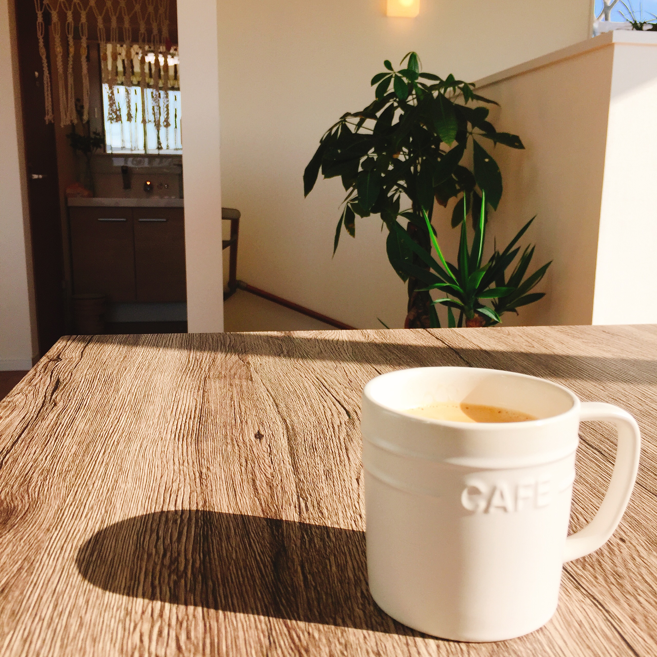 船橋日大前駅西口 電源カフェCaffé Eddie (カフェエディ)