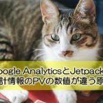 Google AnalyticsとJetpackのサイト統計情報のPVの数値が違う原因と解決