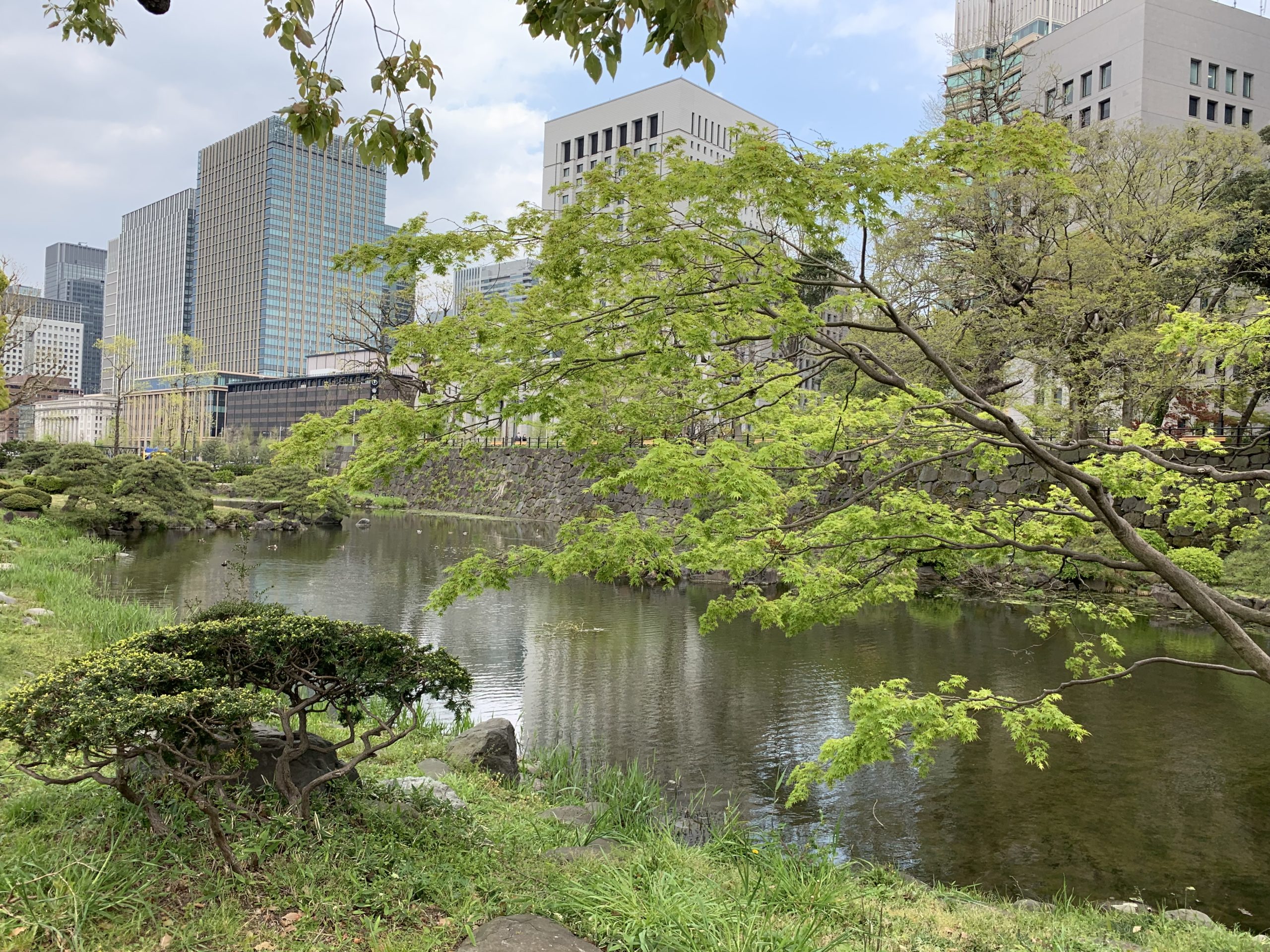 すぐ近くに散歩できる公園がある