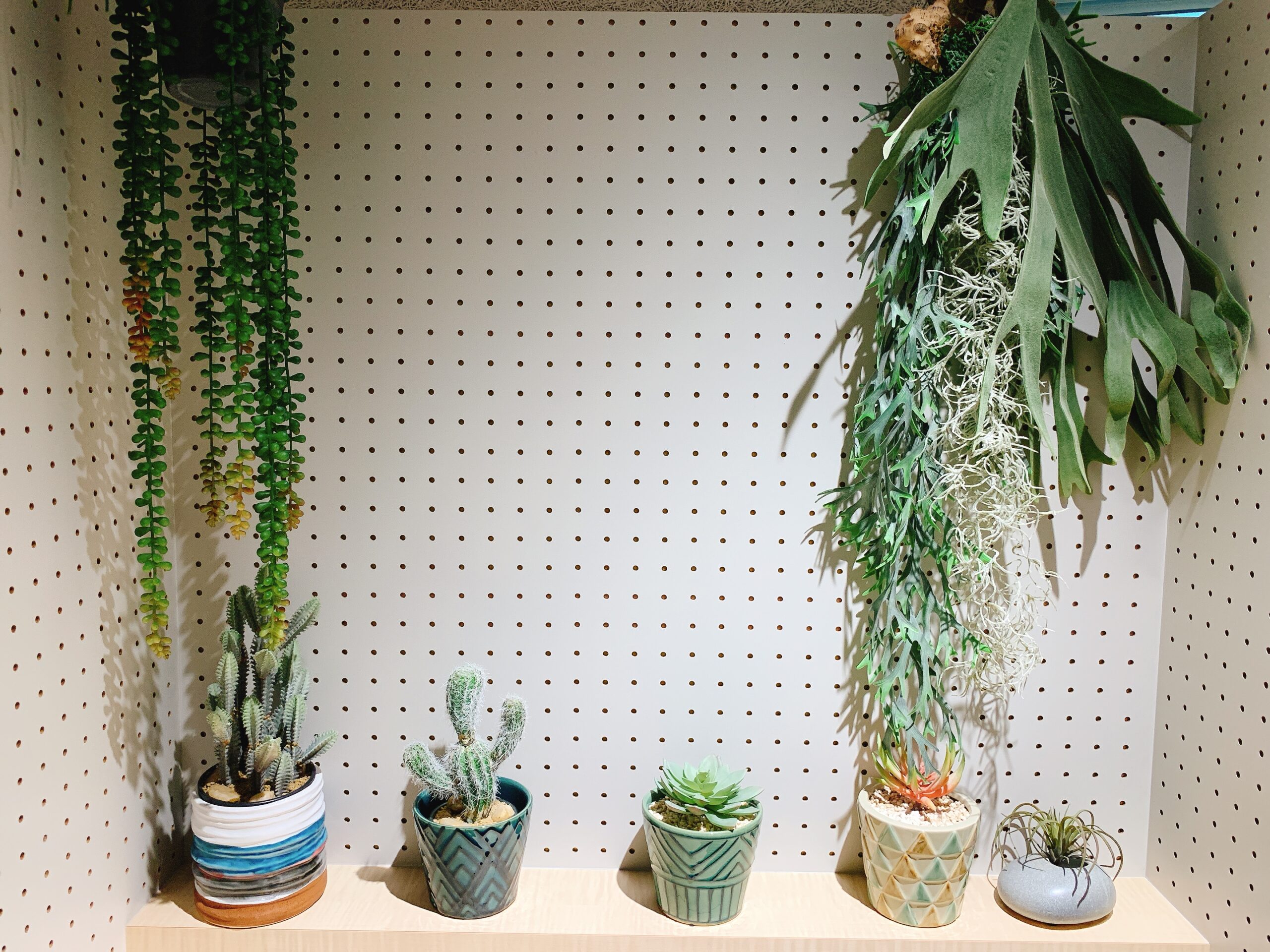 全個室に観葉植物を設置　いいオフィス津田沼 by MACHI DESK